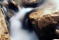 resized_milky stream.jpg